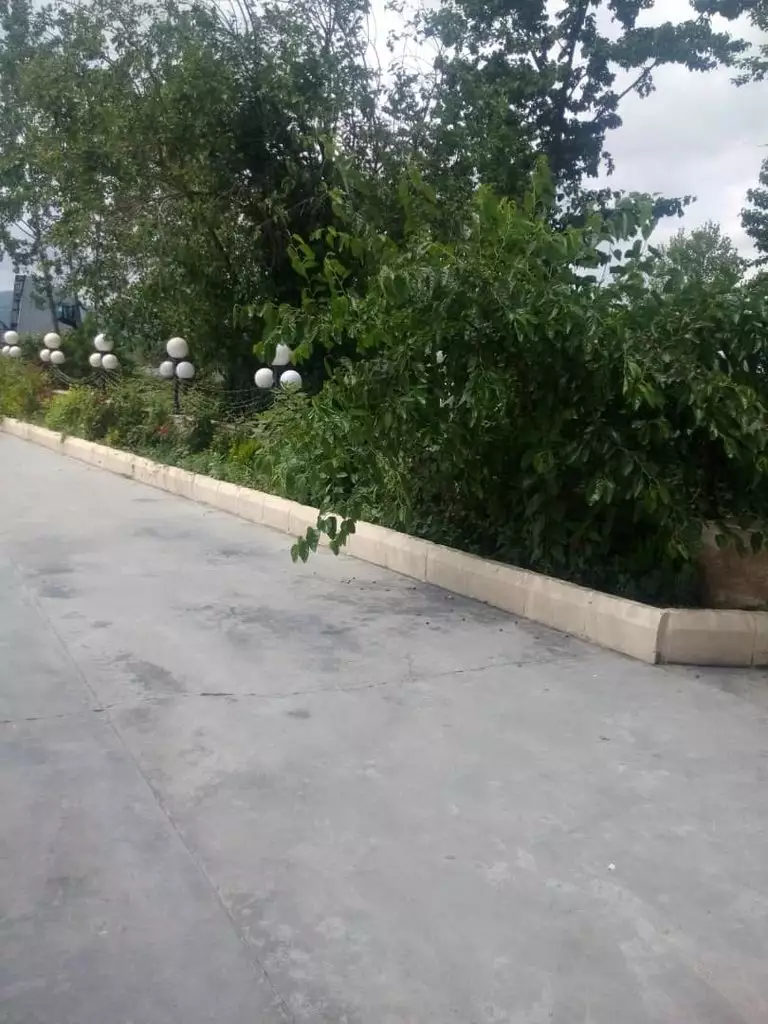 محوطه بتنی هتل برلیان کنار درختان