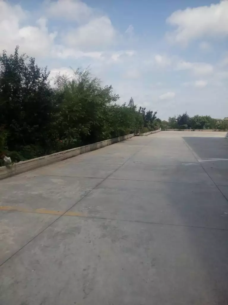 محوطه باز بتنی هتل برلیان کنار فضای سبز