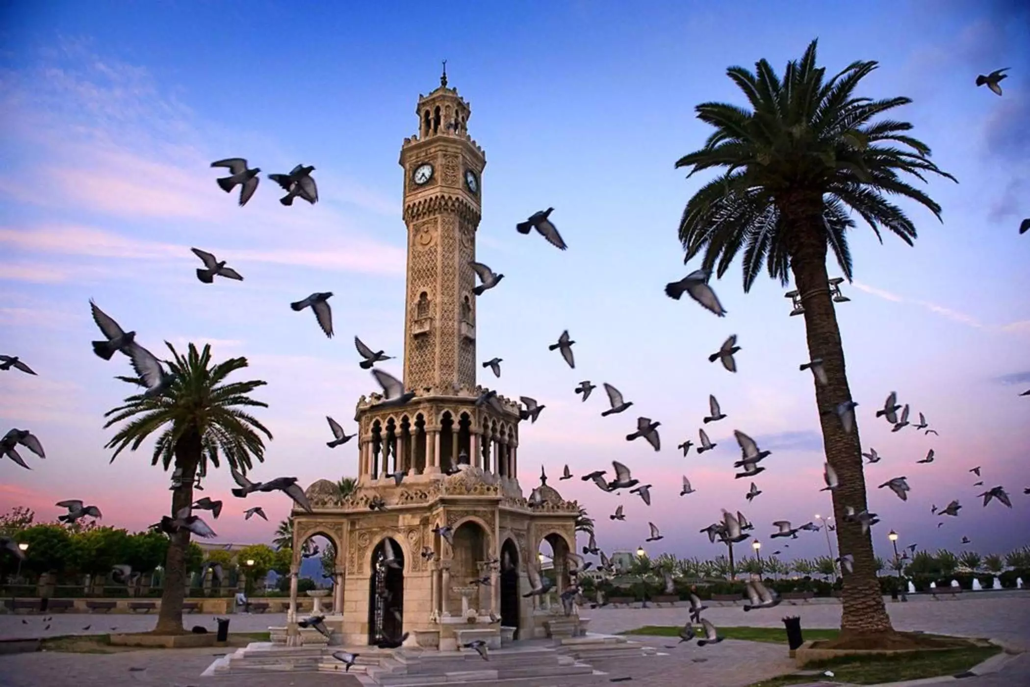 برج ساعت تاریخی ازمیر کنار نخلها و پرواز کبوترها