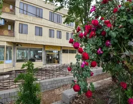 نمای هتل دلنشین میان گل‌های رز سرخ