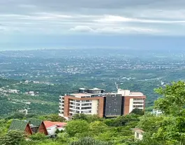 هالیدی