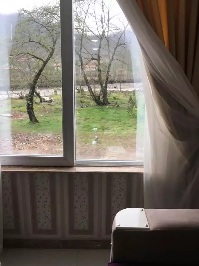 نمای درختان و فضای سبز از پنجره اتاق رویال