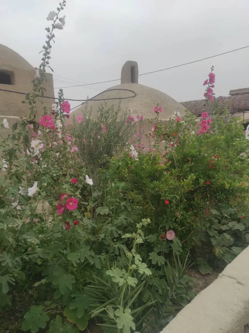 باغ گلهای صورتی اقامتگاه رستم زادگان سیستان