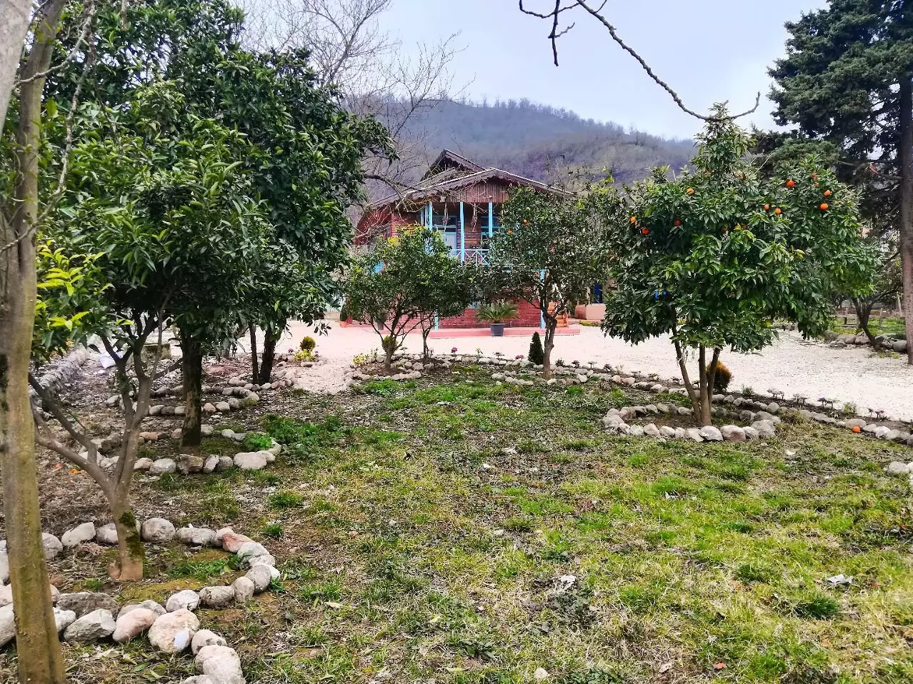 باغ درختان مرکبات اقامتگاه حاج حسین پرویزی