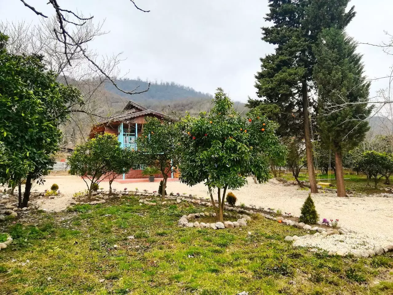باغ درختان مرکبات و کلبه حاج حسین پرویزی