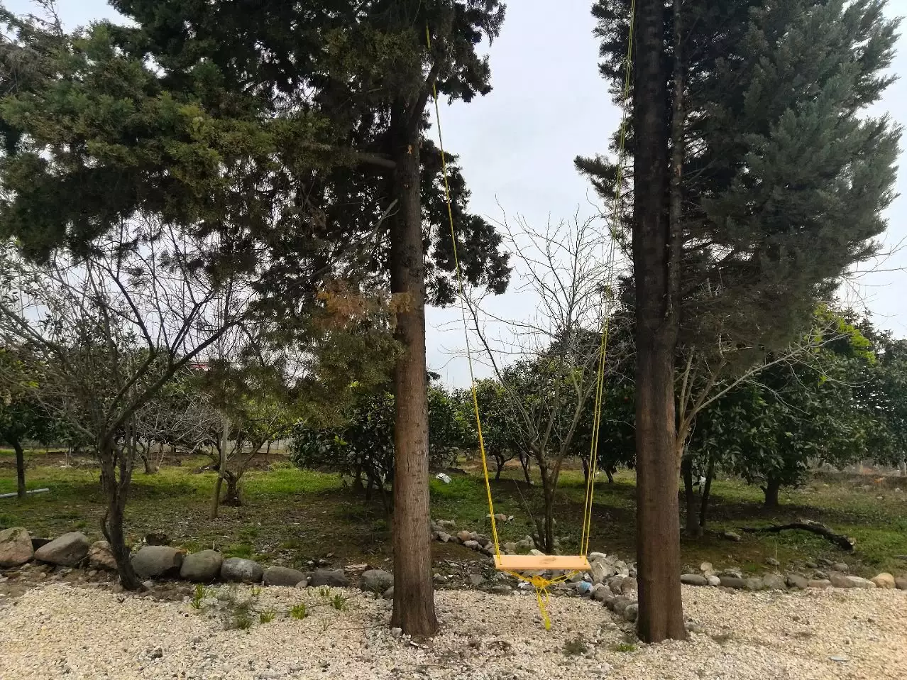 تاب چوبی میان درختان باغ اقامتگاه حاج حسین پرویزی