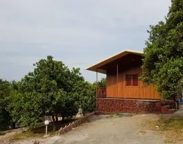 کلبه چوبی میان درختان باغ ملک