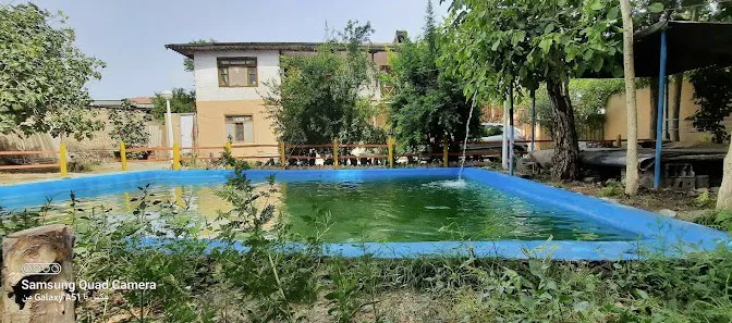 حوض روباز چشمه سعدی در میان درختان