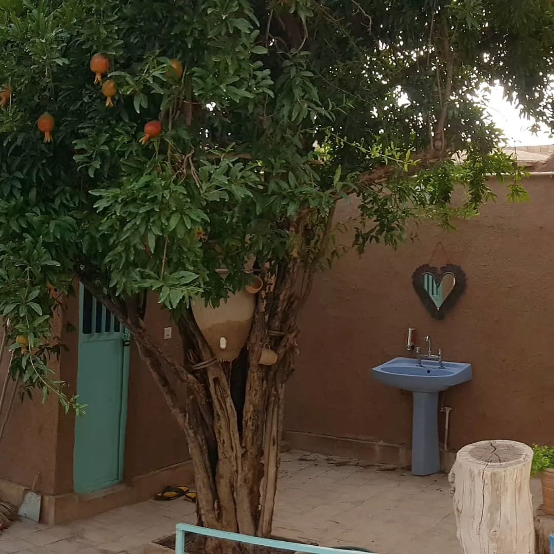 حیاط خانه خشتی با درخت انار و روشویی