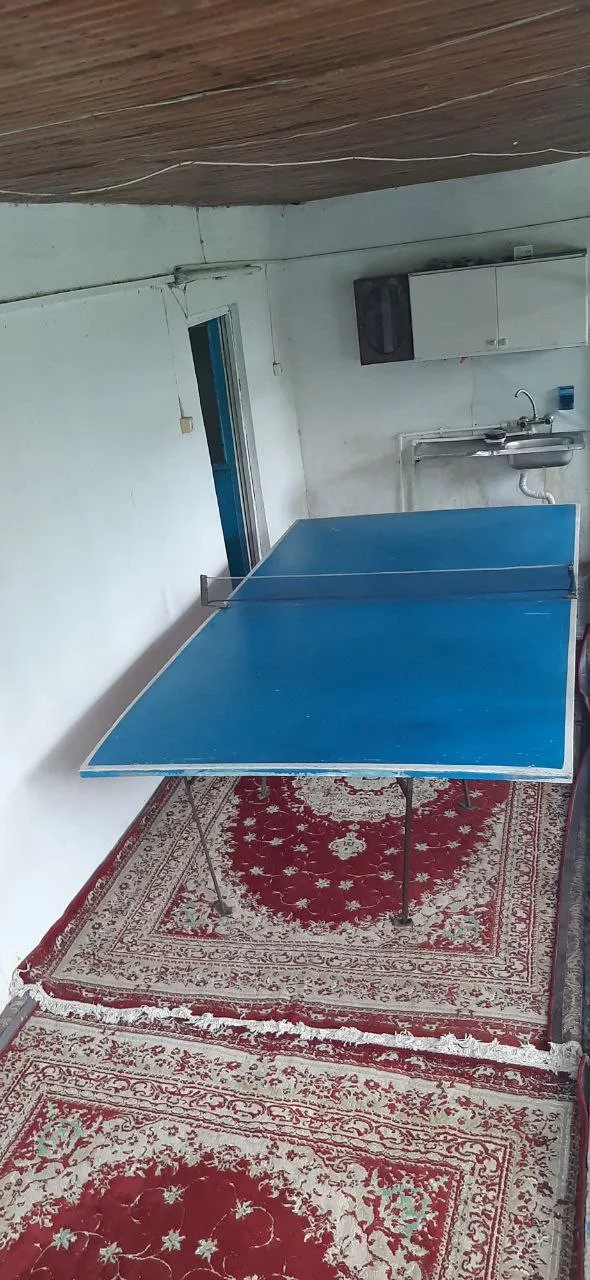 میز پینگ‌پنگ روی فرش در اقامتگاه کارن