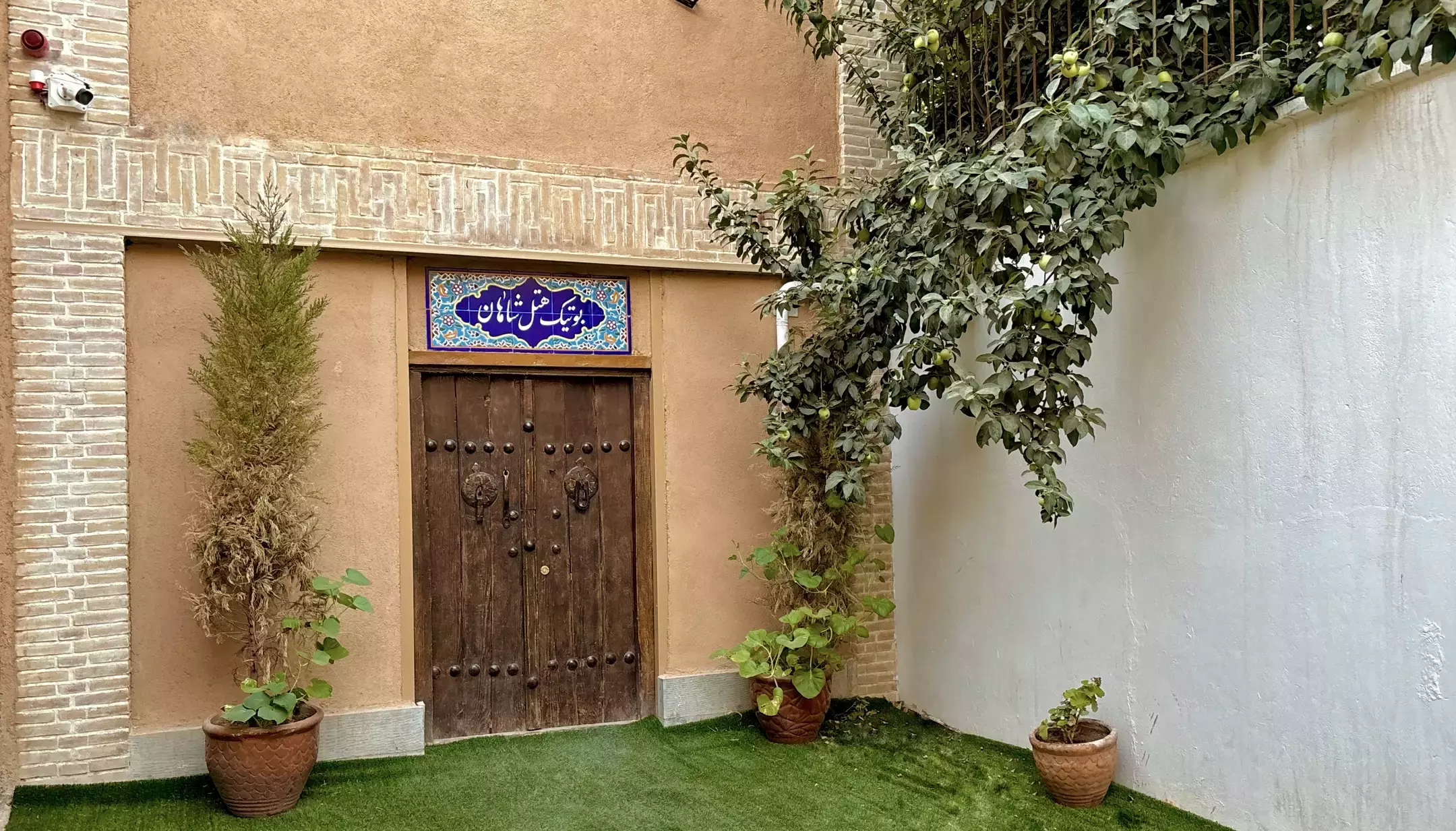 شاهان