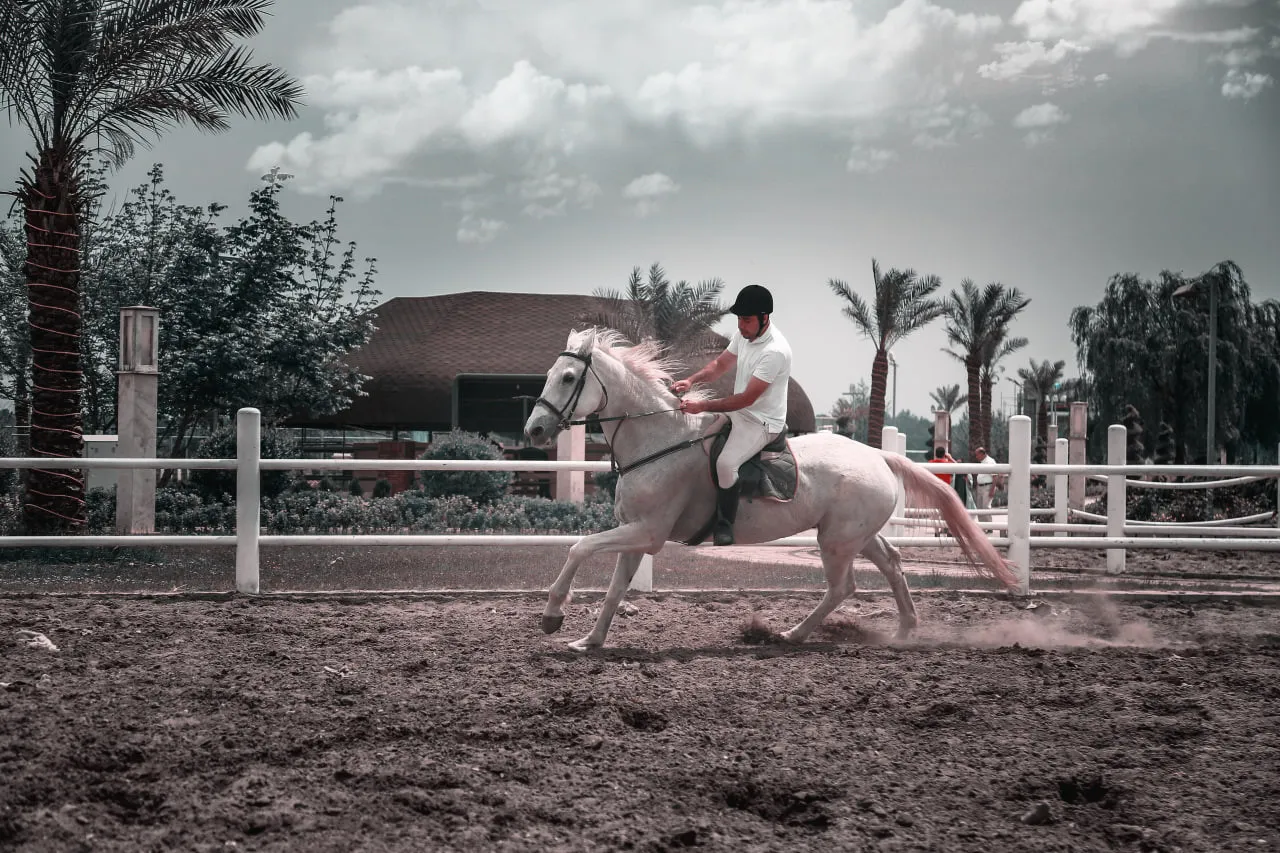 اسبسواری در محوطه دشت