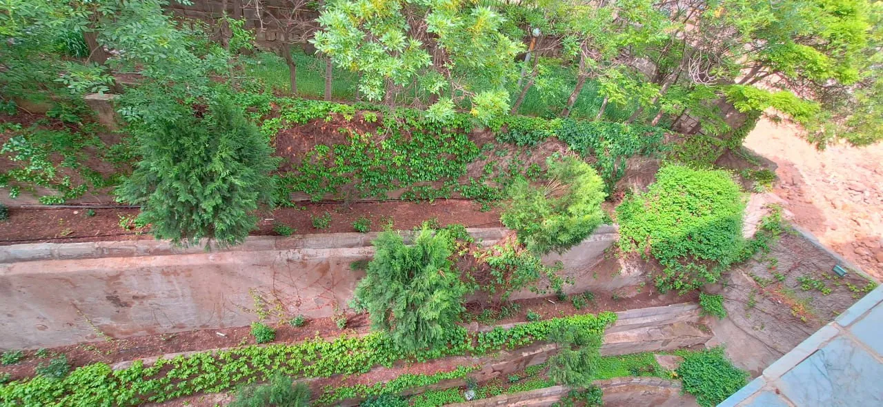 باغ سرسبز و مسیر سنگی هتل ارشاد