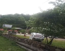 محوطه سرسبز هتل آریا با درختان گلدار