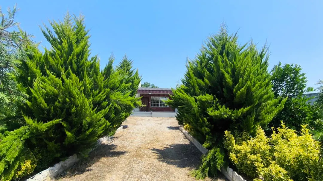 مسیر ورودی تی تی تگن میان درختان سرسبز