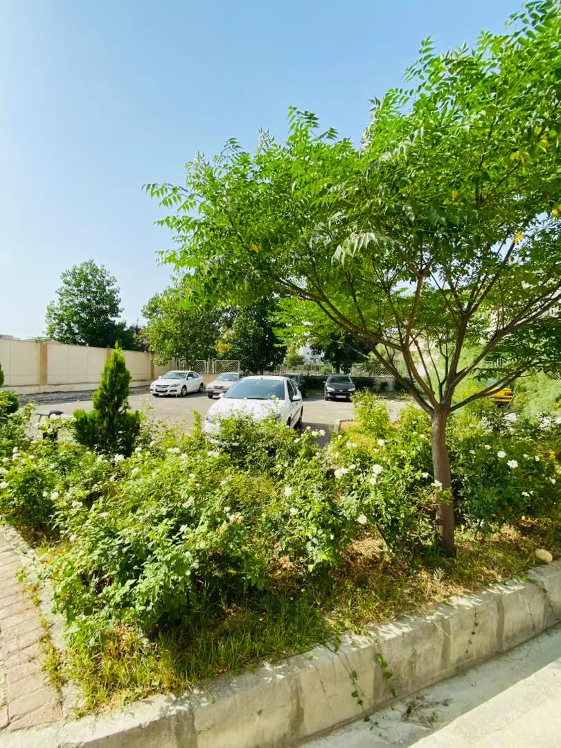محوطه پارکینگ هتل المپیک آسمان میان درختان و فضای سبز