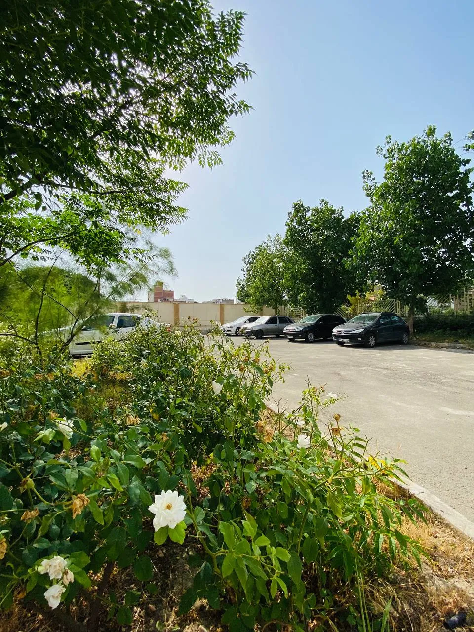 هتل المپیک آسمان گرگان
