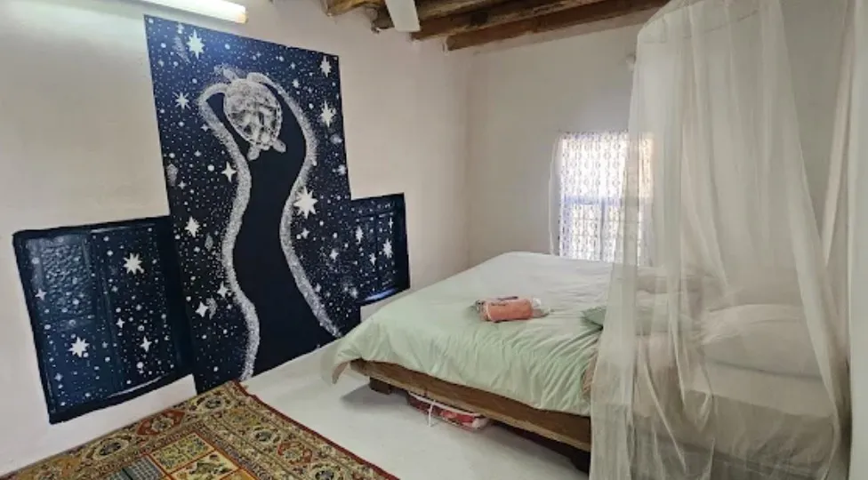 تخت سایبان‌دار کنار دیوار نقش‌دار اتاق پری