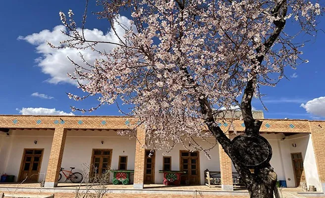 نمای خانه ساتی پشت درخت شکوفه‌دار