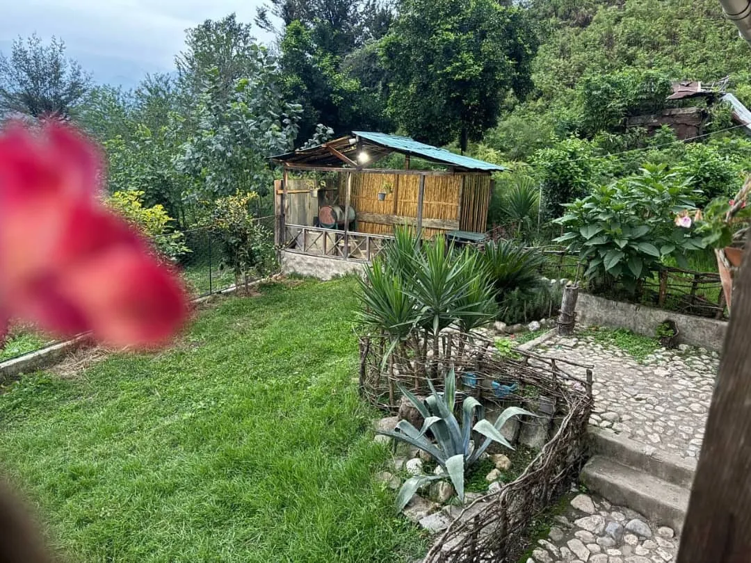 باغ سرسبز و کلبه چوبی اقامتگاه ترو