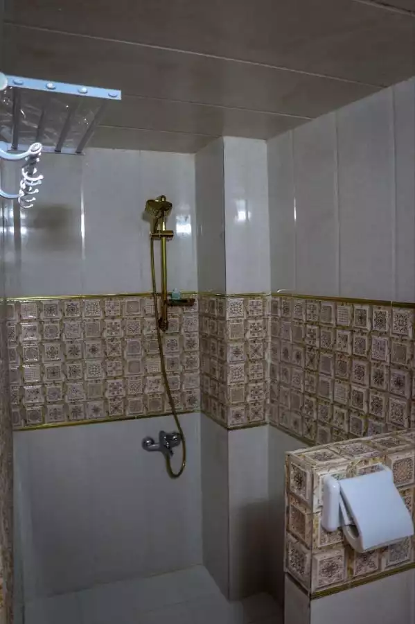 دوش دیواری سرویس بهداشتی شاخه نبات