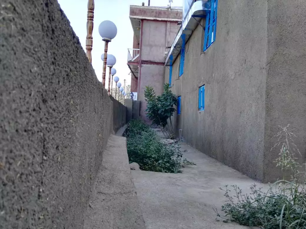 گذر باریک کنار ساختمان سنار و فضای سبز