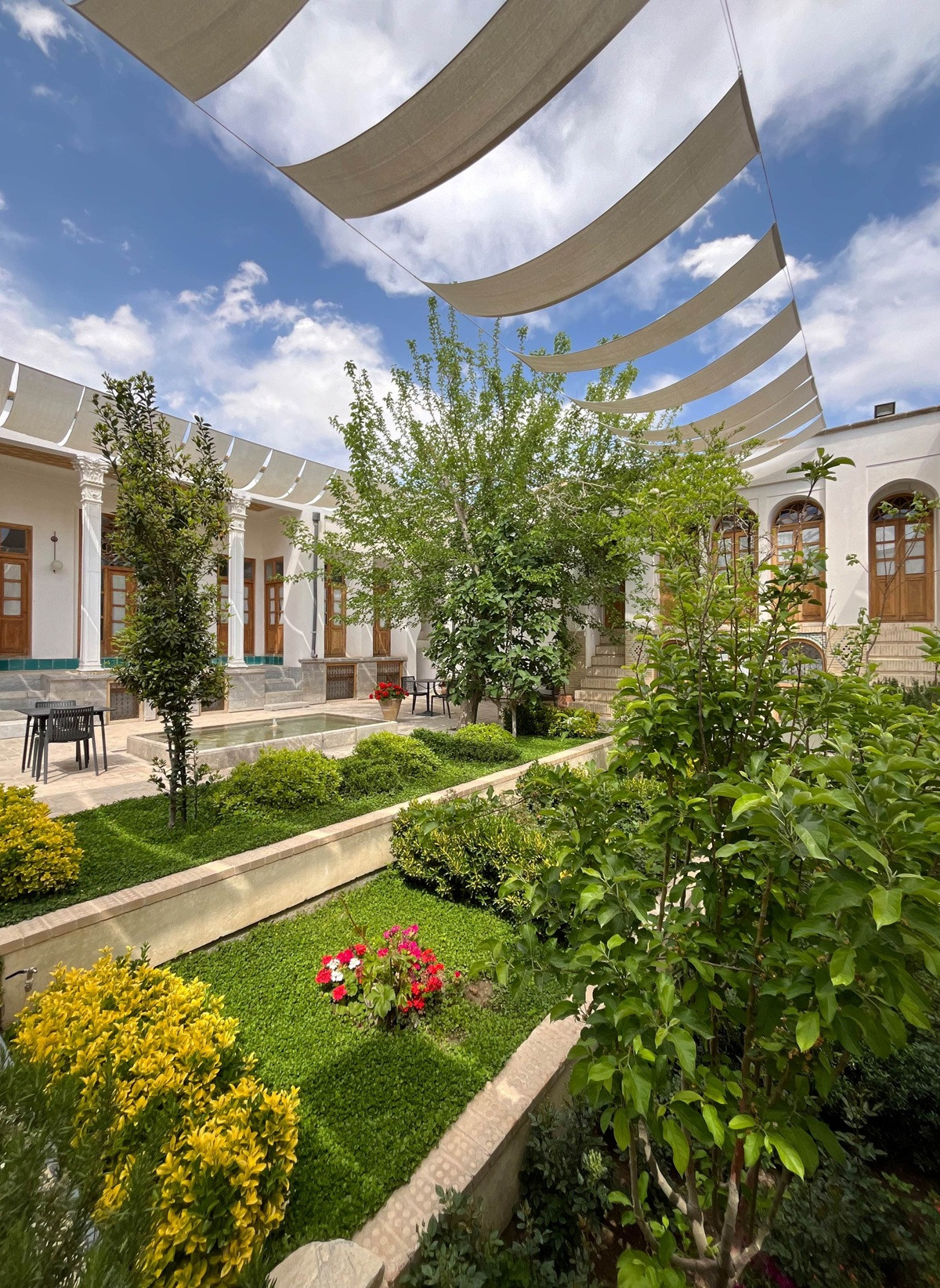 درختی