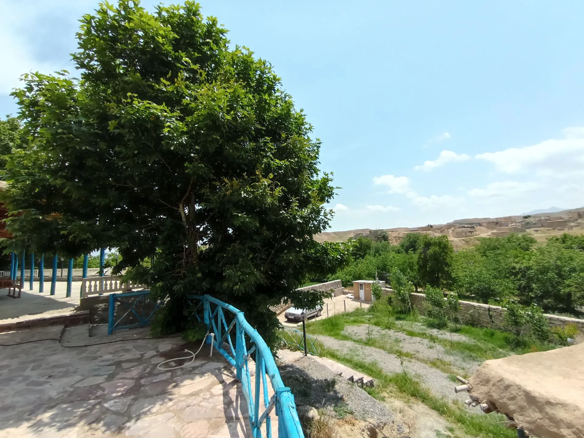 باغ و درختان اقامتگاه یادگار پدری قلعه نو