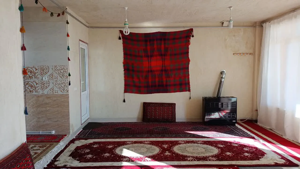 اتاق اقامتگاه دیدگاه با فرش قرمز و بخاری