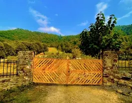 دروازه چوبی اقامتگاه پرهام در میان طبیعت سرسبز