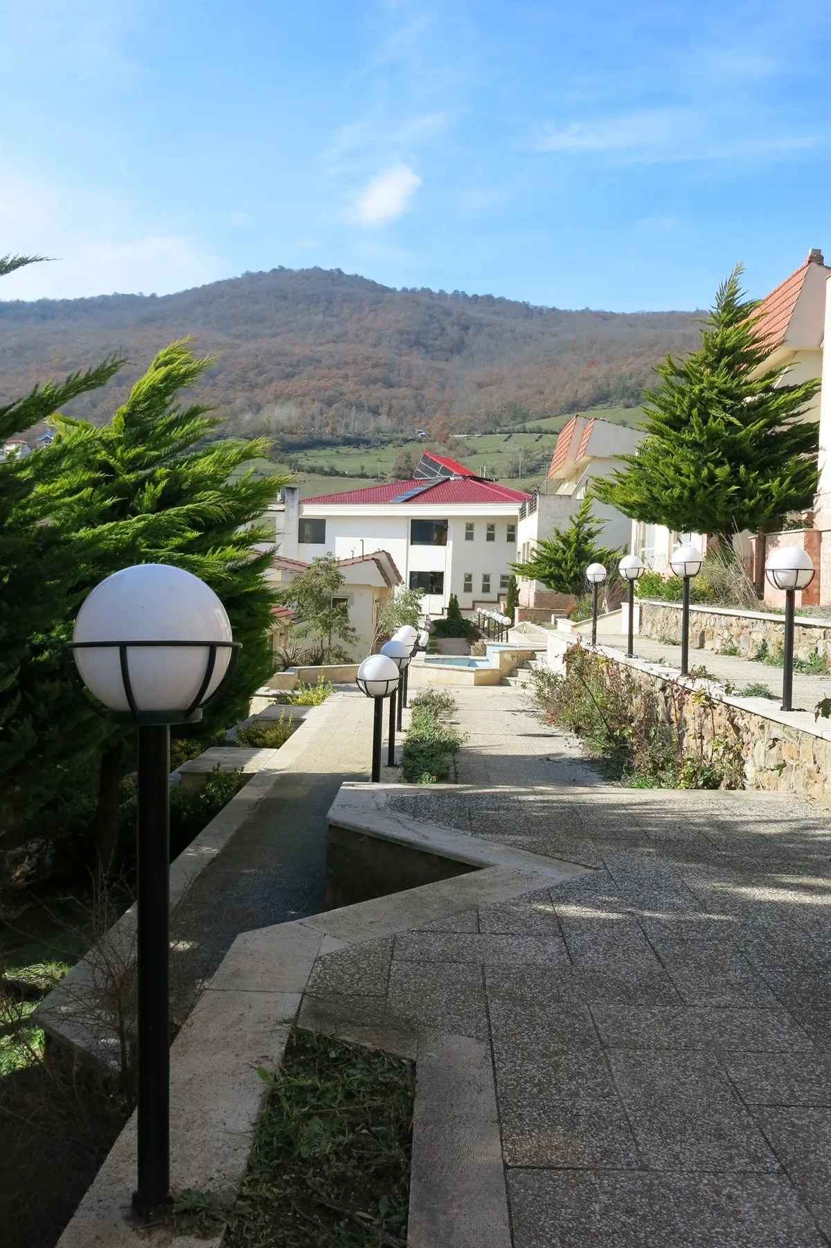 مسیر سنگ‌فرش باران سبز میان درختان و ساختمان‌ها