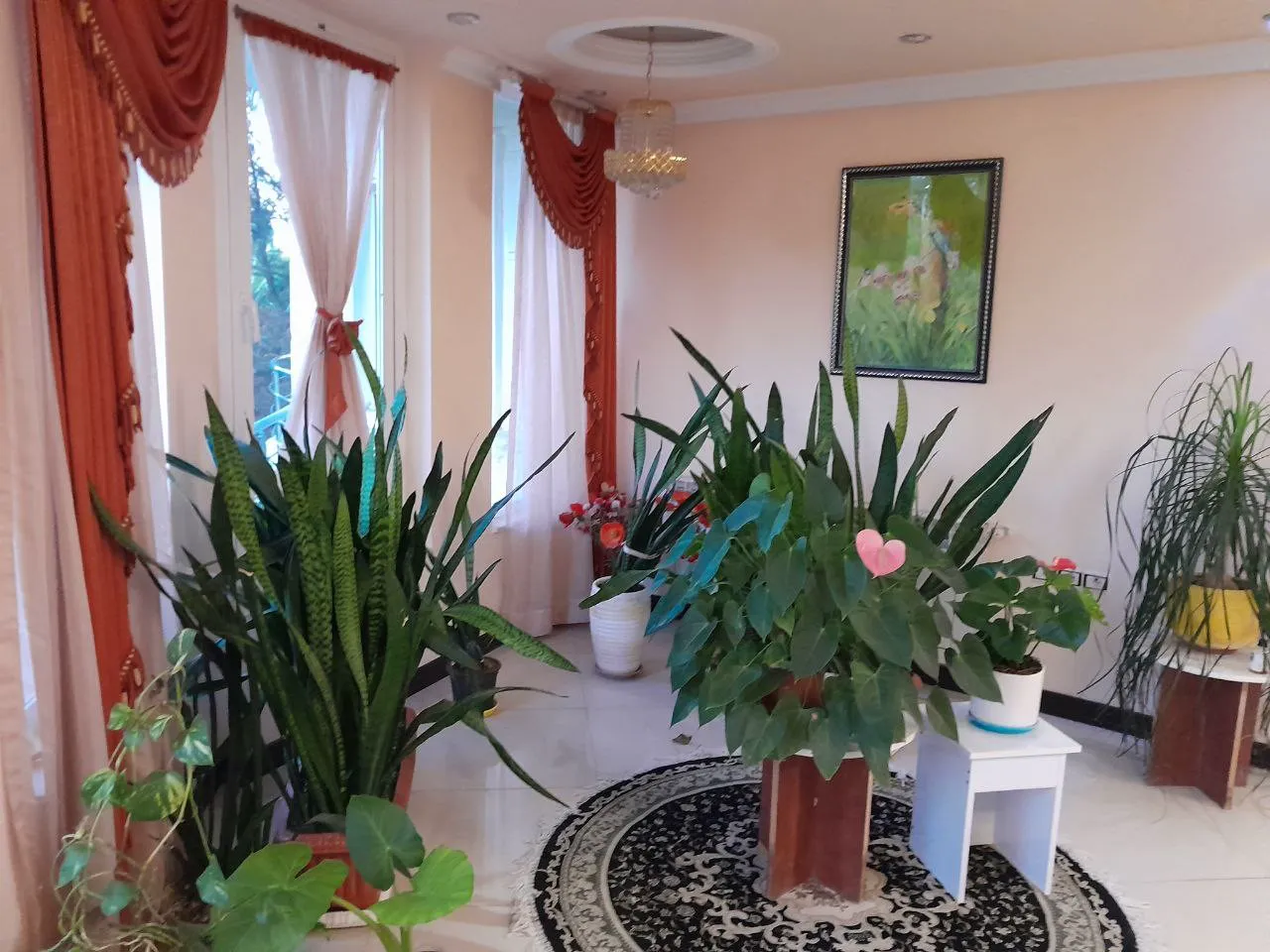 فضای داخلی هتل نیستان با گیاهان آپارتمانی و فرش