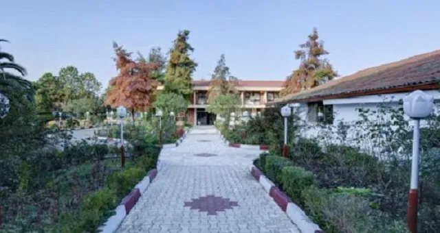 مسیر سنگ‌فرش‌شده محوطه سرسبز جهانگردی