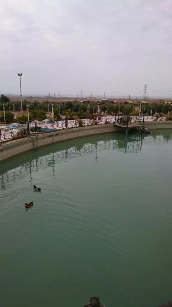 برکه نارنجستان با دو اردک شناور