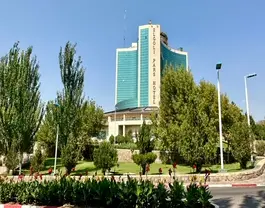 پارس ائل گلی