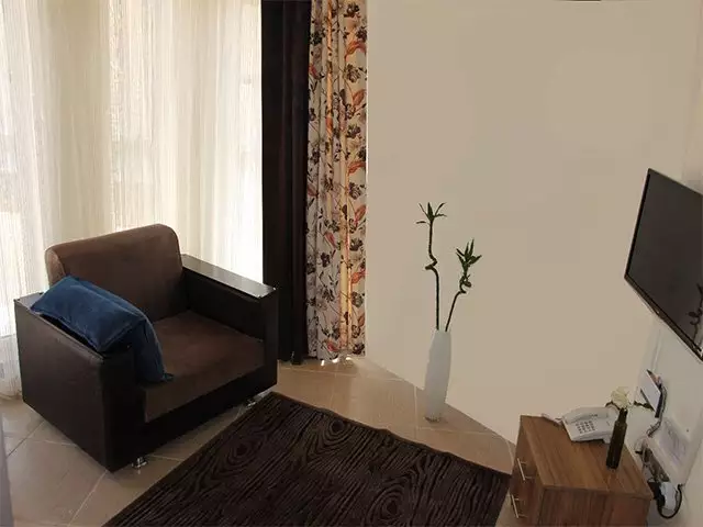 نشیمن اتاق با تلویزیون و صندلی همای سعادت