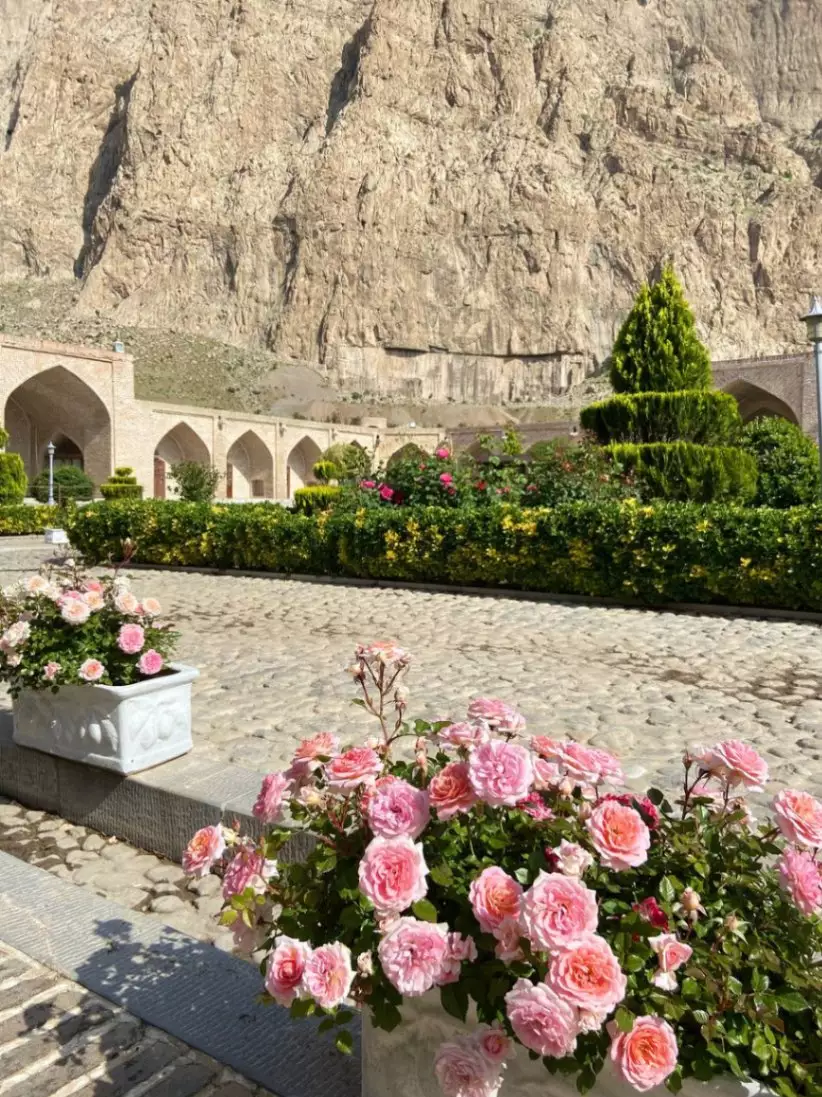 گلدانهای گل رز در حیاط سنگی لاله بیستون