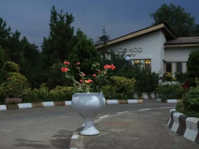 گلدان گل در محوطه سرسبز هتل هدهد