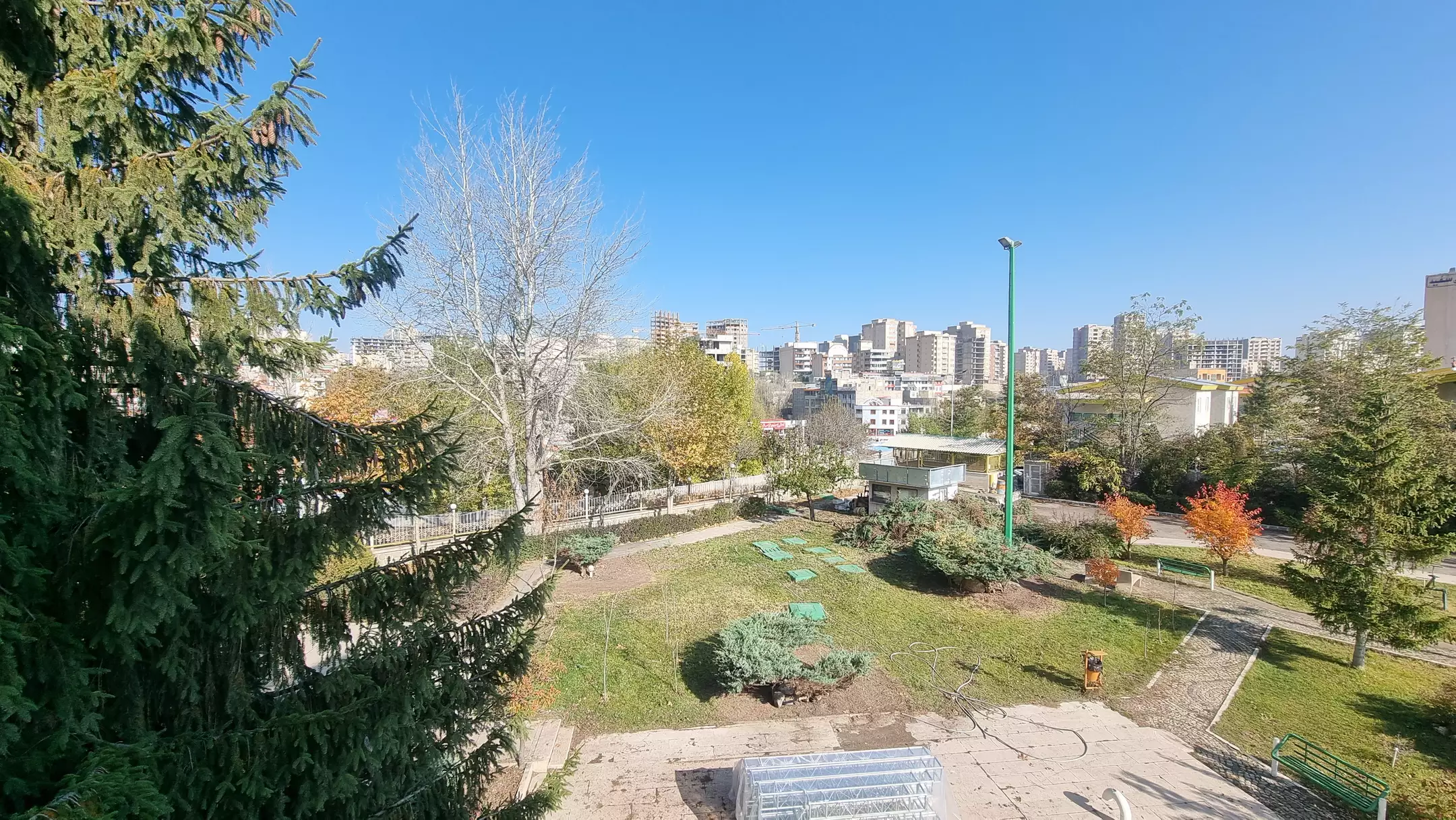 باغ سرسبز هتل لاله در میان درختان