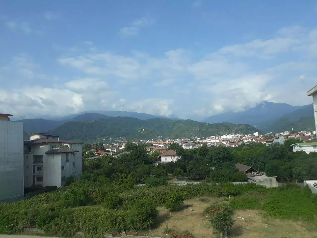 view