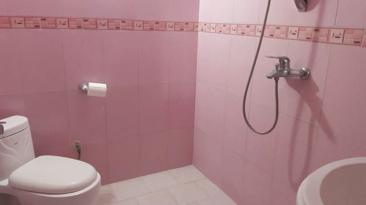 سرویس بهداشتی و دوش با کاشی صورتی هتل لیوادر