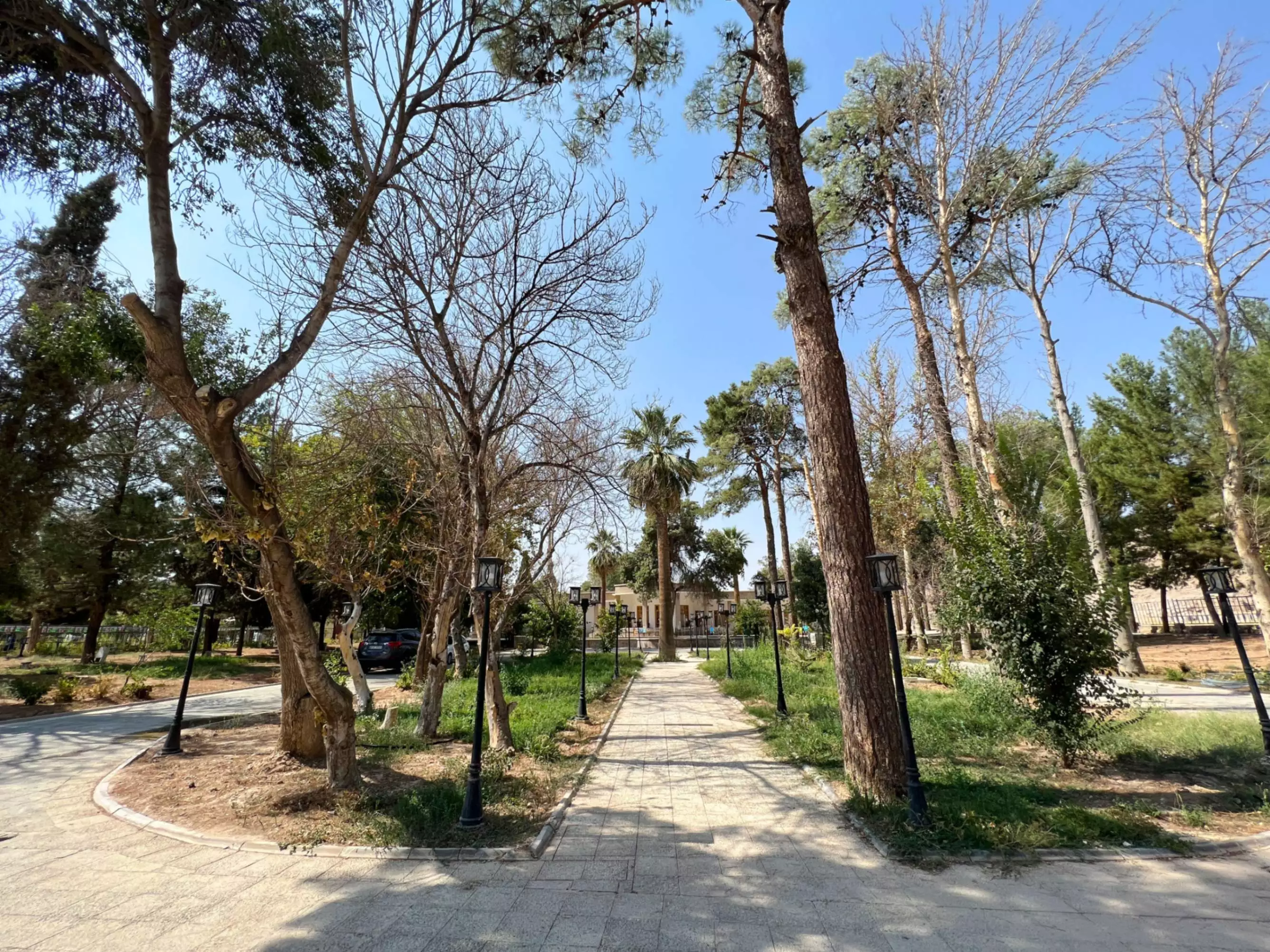 مسیر پیاده‌روی در محوطه درخت‌کاری‌شده هتل آپادانا