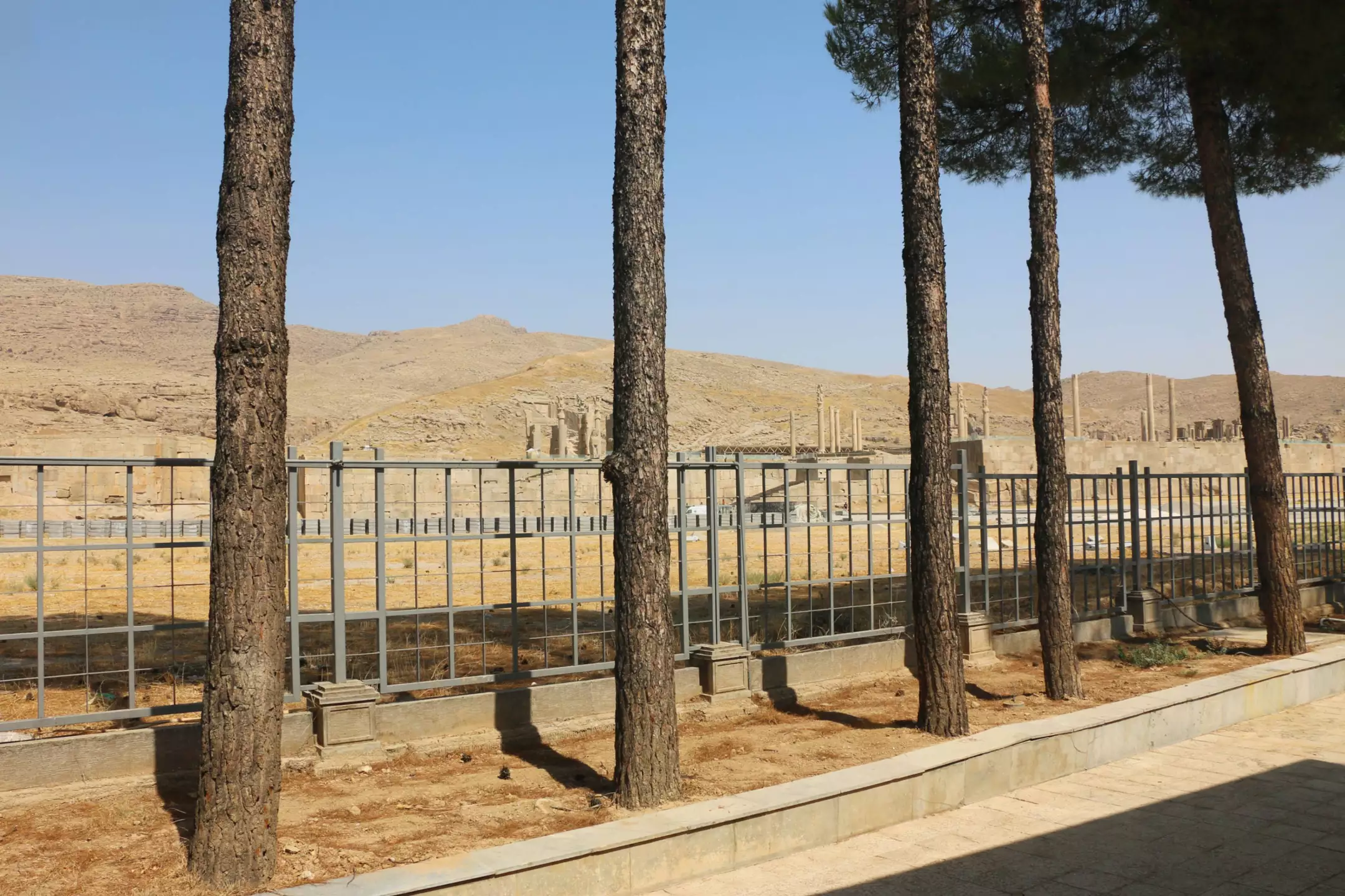 نمای تخت‌جمشید از پشت حصار فلزی و درختان کاج