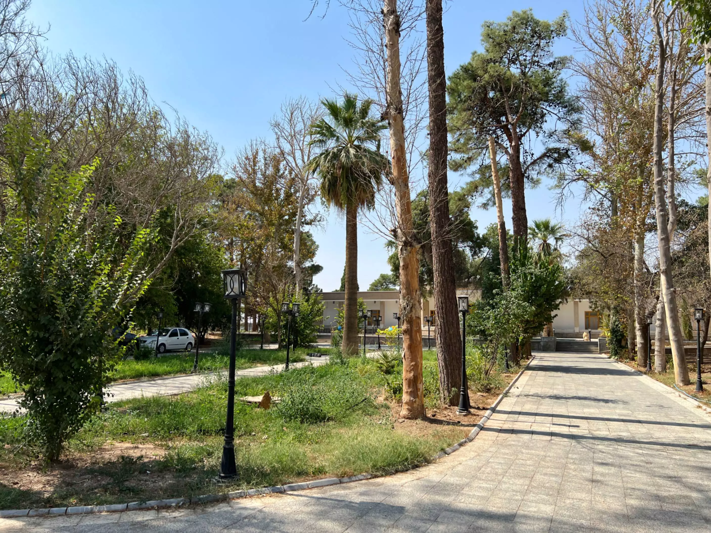 مسیر پیاده‌روی میان درختان هتل آپادانا