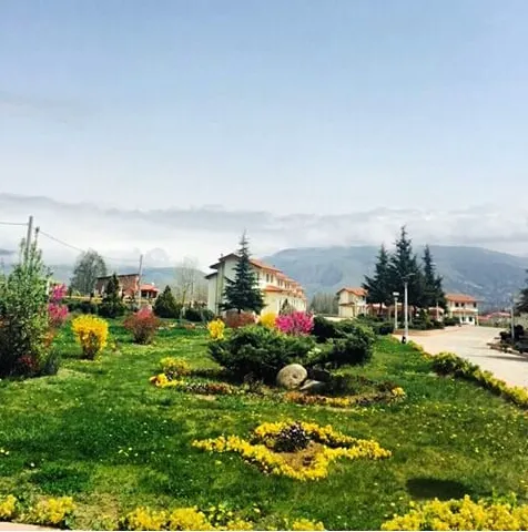باغ گلکاریشده هتل پارسیان با پسزمینه کوهستان