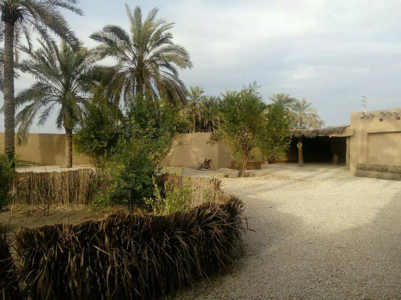 محوطه اقامتگاه نگین با درختان نخل