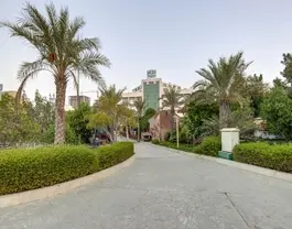 شایگان