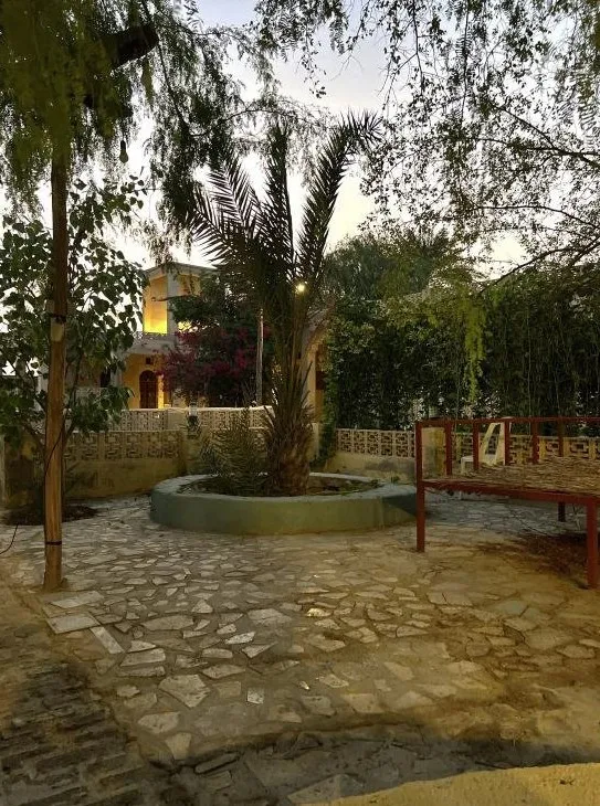 حیاط سنگ‌فرش خانه دوست با نخل و نیمکت