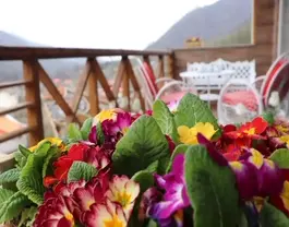 گل‌آرایی تراس چوبی اقامتگاه تنکاپارسه
