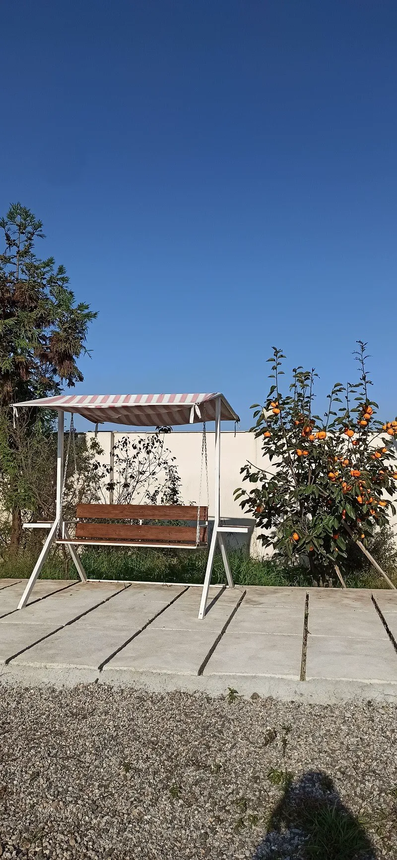 هتل آپارتمان پردیس سکوتی رضوانشهر